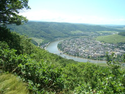 Holiday apartment "Moseltor" - Environment photo 32