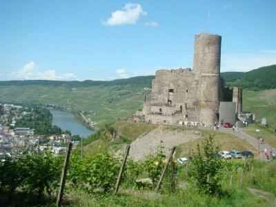 Holiday apartment "Moseltor" - Environment photo 33