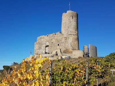 Holiday apartment "Moseltor" - Environment photo 34