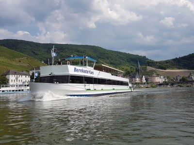 Holiday apartment "Moseltor" - Environment photo 36