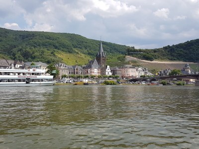 Holiday apartment "Moseltor" - Environment photo 37