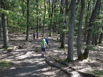 Holiday apartment "Moseltor" - Environment photo 39