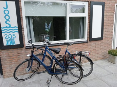 Holiday house van SchendeJoos 205l - Environment photo 27