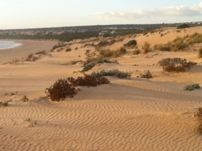 Holiday house C'era una volta in Scicli - Environment photo 25