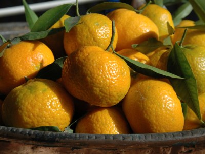 Holiday house C'era una volta in Scicli - Environment photo 29