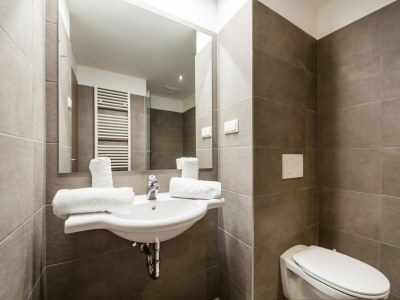 Apartment Wohnung in Kleinarl nahe Skipisten - Features photo 14