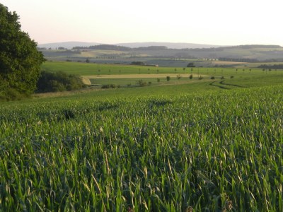 Holiday apartment Grandma Anna's House - Environment photo 16