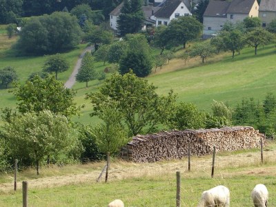 Holiday apartment Grandma Anna's House - Environment photo 17