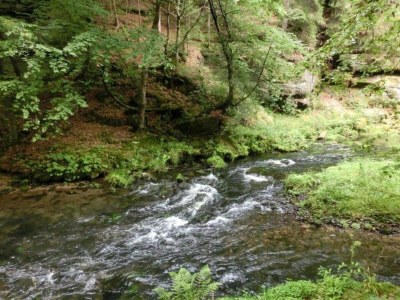 Apartment Komfort und Naturflucht, Lichtenhain - Environment photo 32