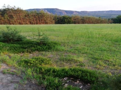 Apartment Komfort und Naturflucht, Lichtenhain - Environment photo 33