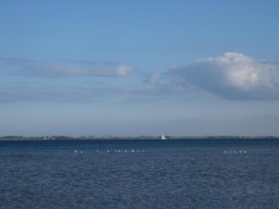 Apartment Cozy Apartment with Garden - Environment photo 29