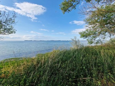 Apartment Cozy Apartment with Garden - Environment photo 32