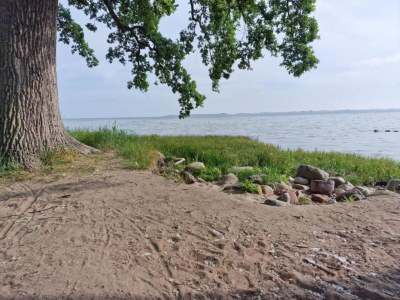 Apartment Cozy Apartment with Garden - Environment photo 36