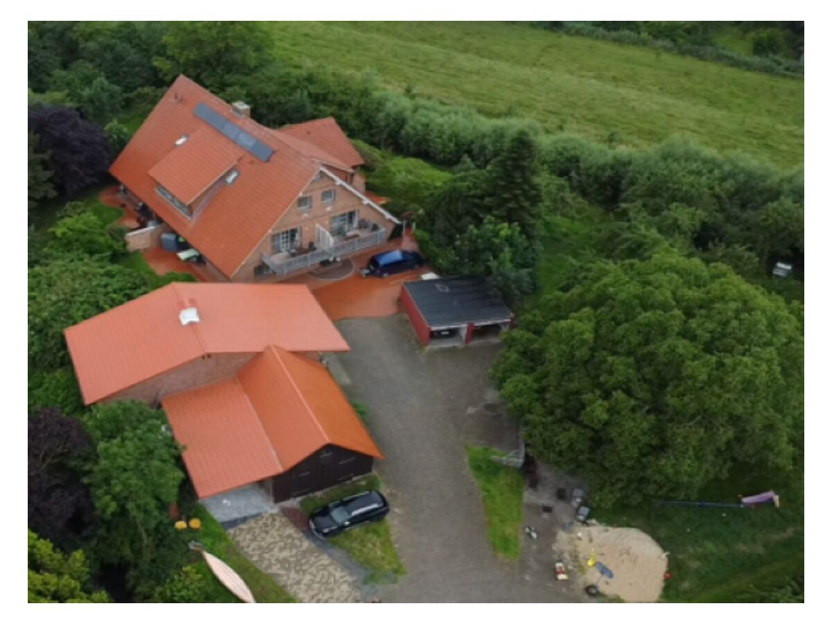 Holiday apartment Große Ferienwohnung Südterrasse in Sandstrandnähe der Elbe - Outdoor photo 4