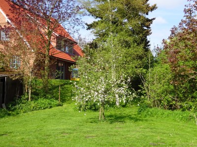 Holiday apartment Große Ferienwohnung Südterrasse in Sandstrandnähe der Elbe - Outdoor photo 2