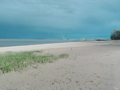 Holiday apartment Große Ferienwohnung Südterrasse in Sandstrandnähe der Elbe - Environment photo 24