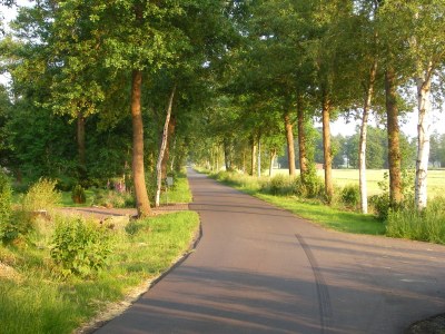 Holiday apartment Große Ferienwohnung Südterrasse in Sandstrandnähe der Elbe - Environment photo 28