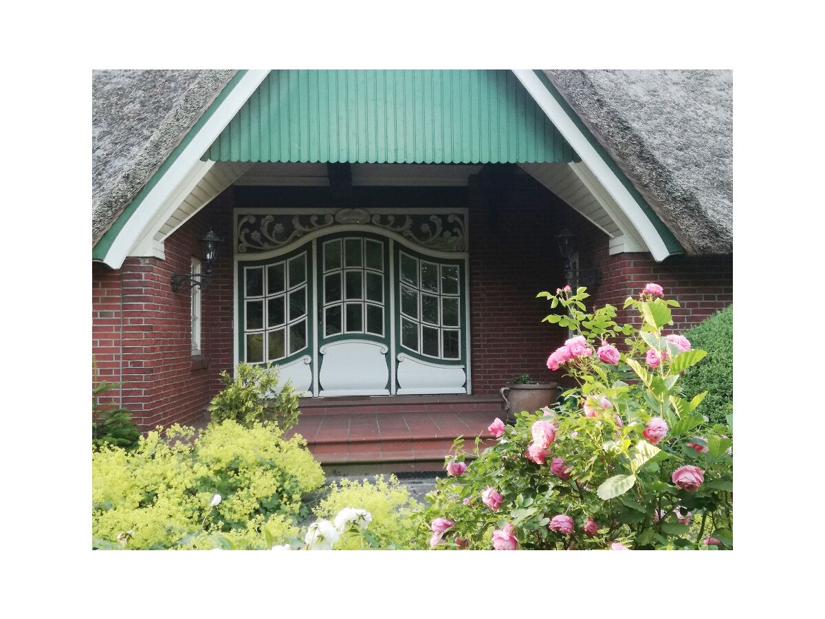 Holiday house cottage dream under reed