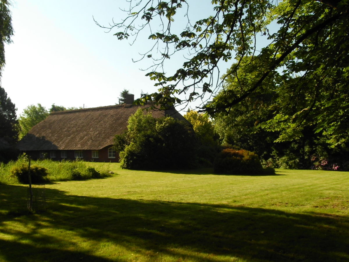 Holiday house cottage dream under reed - Outdoor photo 2
