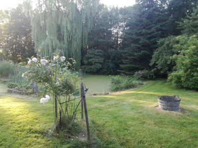 Holiday house cottage dream under reed - Outdoor photo 4