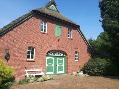 Holiday house cottage dream under reed - Outdoor photo 7
