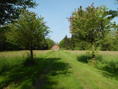 Holiday house cottage dream under reed - Outdoor photo 8
