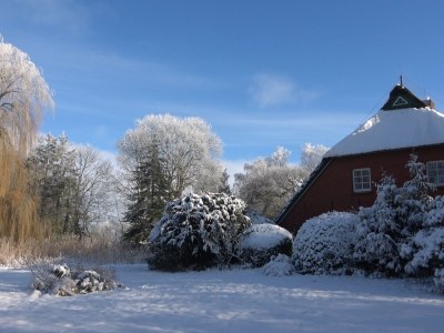 Holiday house cottage dream under reed - Outdoor photo 9