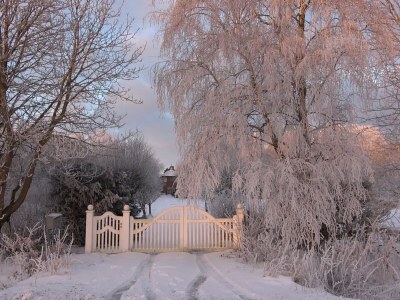 Holiday house cottage dream under reed - Outdoor photo 11