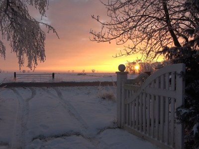 Holiday house cottage dream under reed - Outdoor photo 12