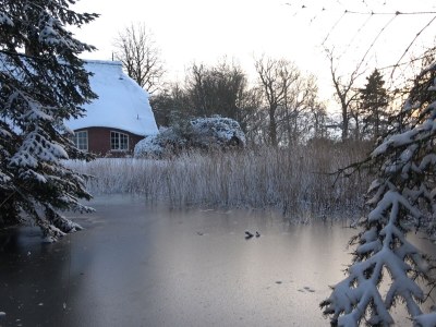 Holiday house cottage dream under reed - Outdoor photo 13