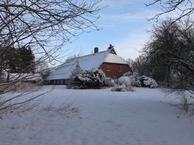 Holiday house cottage dream under reed - Outdoor photo 14