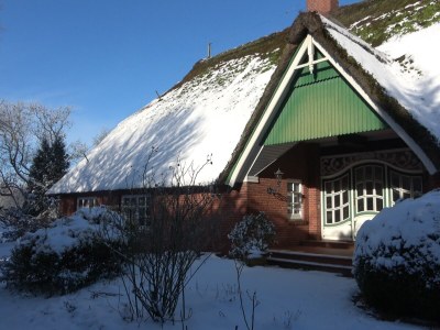 Holiday house cottage dream under reed - Outdoor photo 15