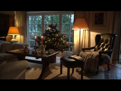 Holiday house cottage dream under reed - Features photo 16