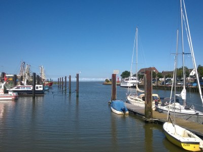 Holiday house cottage dream under reed - Environment photo 24