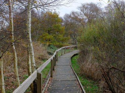 Holiday house cottage dream under reed - Environment photo 25