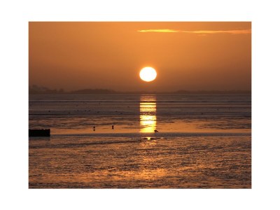 Holiday house cottage dream under reed - Environment photo 30