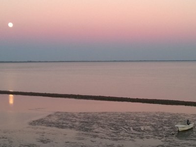 Holiday house cottage dream under reed - Environment photo 31