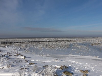 Holiday house cottage dream under reed - Environment photo 34