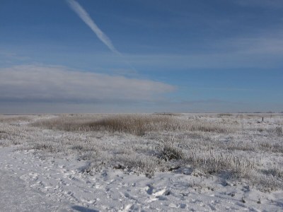 Holiday house cottage dream under reed - Environment photo 35