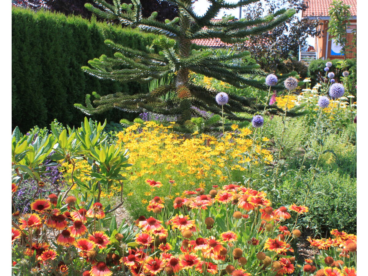 Holiday apartment Voelkel - Outdoor photo 5