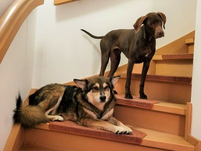 Holiday apartment Voelkel - Features photo 22