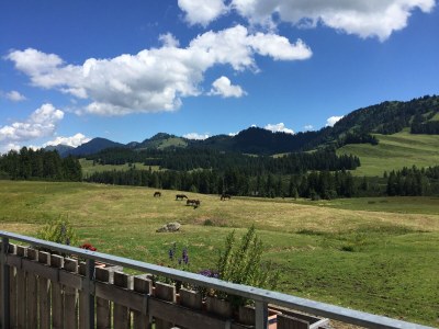 Holiday apartment Voelkel - Environment photo 30