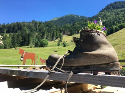 Holiday apartment Voelkel - Environment photo 35