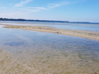 Holiday house Strandhaus drei Meeresperlen - Environment photo 31