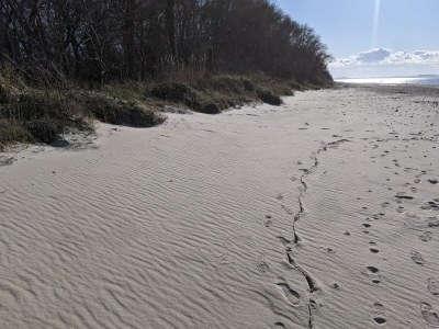 Holiday house Strandhaus drei Meeresperlen - Environment photo 33