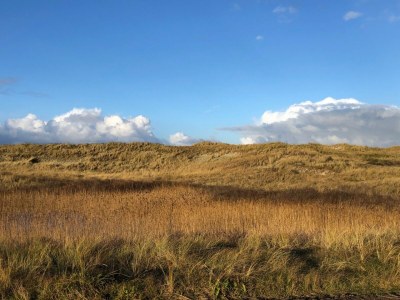 Holiday house Marrit - Environment photo 34