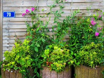 Holiday house Gaubatz - Features photo 11