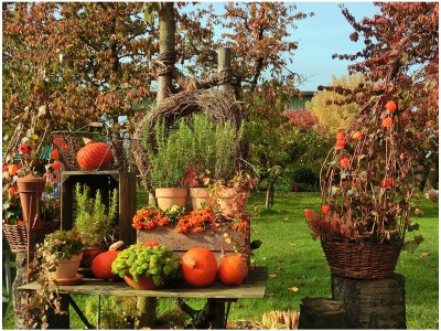 Holiday house Gaubatz - Environment photo 14