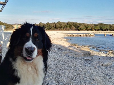 Holiday house Lina - Environment photo 35