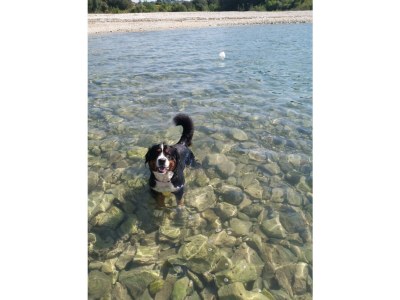 Holiday house Lina - Environment photo 36